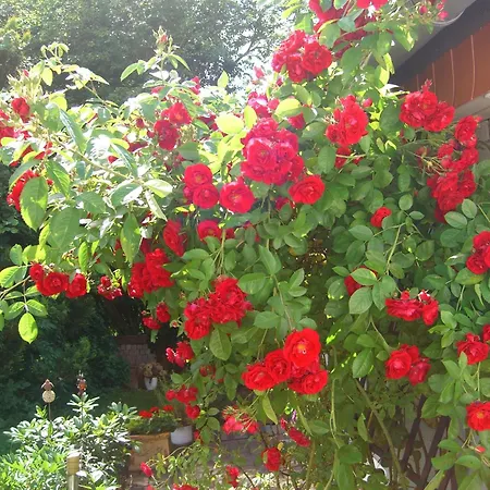 Gemuetliches In Fischbach Rhoen Holiday home
